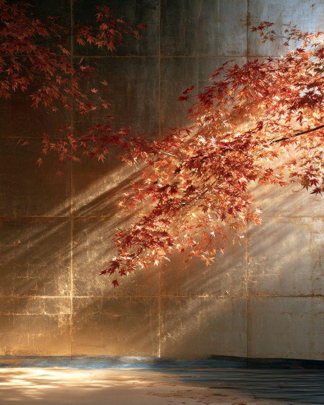 Red maple leaves lit from the side against gold leaf