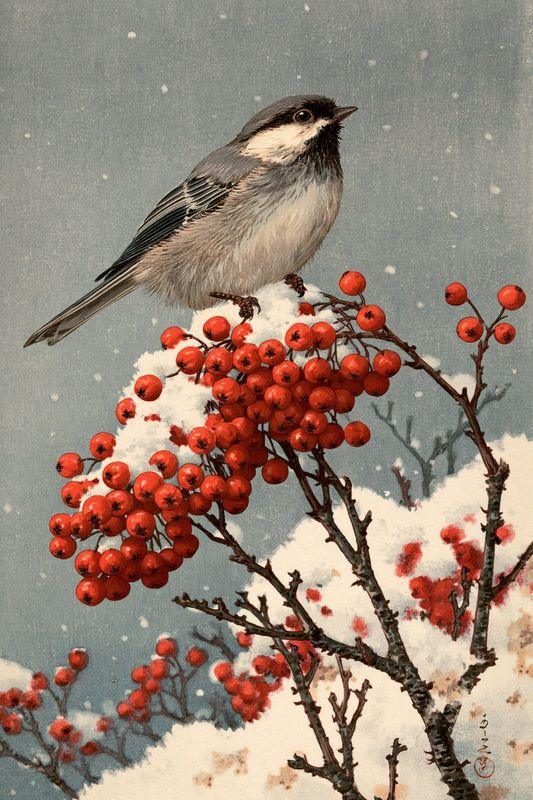 A sparrow on a branch of red nandina berries dusted with snow