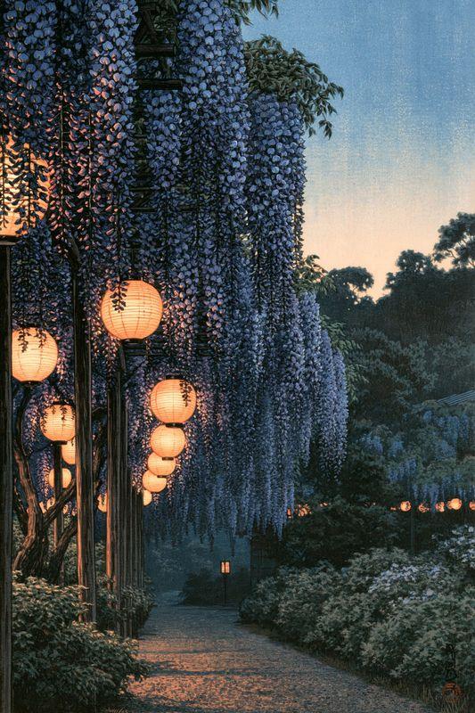 Wisteria hanging over a garden path at dusk, lit by round paper lanterns